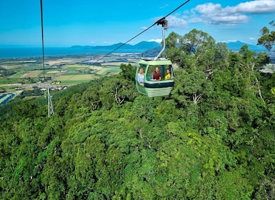 Cairns: Kuranda-tur for små grupper via Skyrail og Scenic Rail