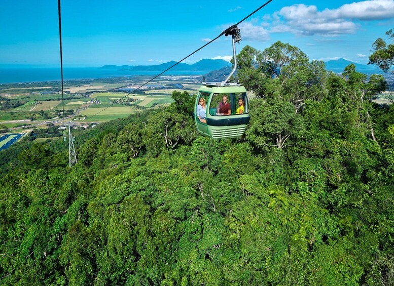 Cairns: Small Group Kuranda Tour via Skyrail and Scenic Rail