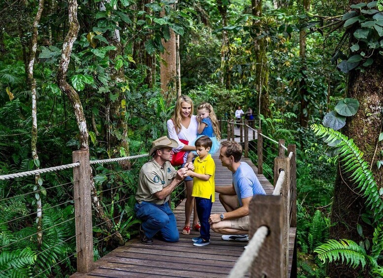 Picture 2 for Activity Cairns: Small Group Kuranda Tour via Skyrail and Scenic Rail