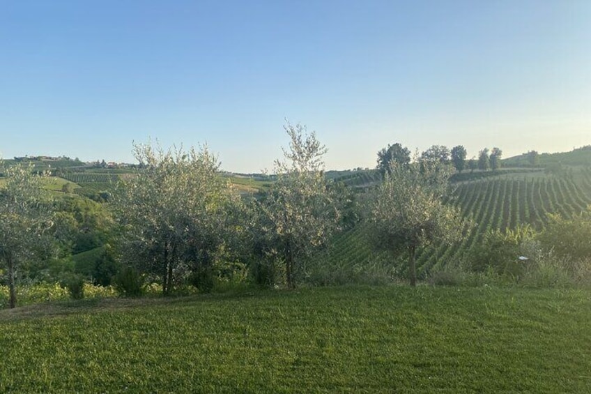 Panoramic wine tasting in Oltrepò Pavese