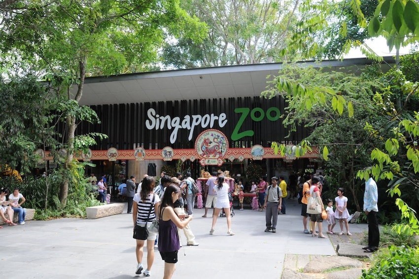 Singapore Zoo with Jungle Breakfast  + Roundtrip Transfer