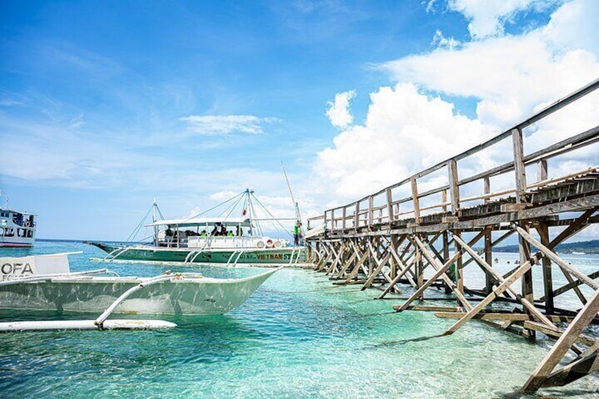 Swimming with Whale Sharks and Island-Hopping to Sumilon Island