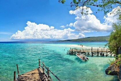 Swimming with Whale Sharks and Island-Hopping to Sumilon Island