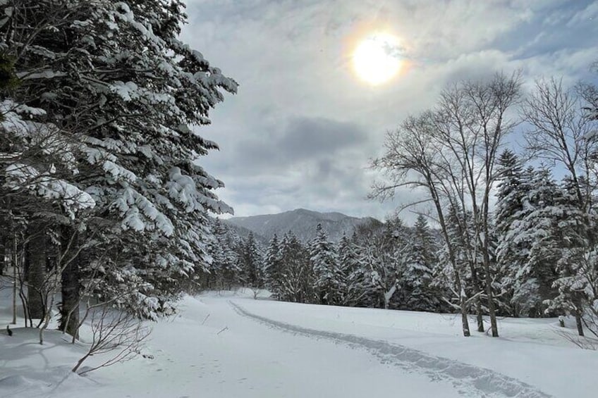 Snowshoeing Adventures in a Winter Wonderland - Sapporo