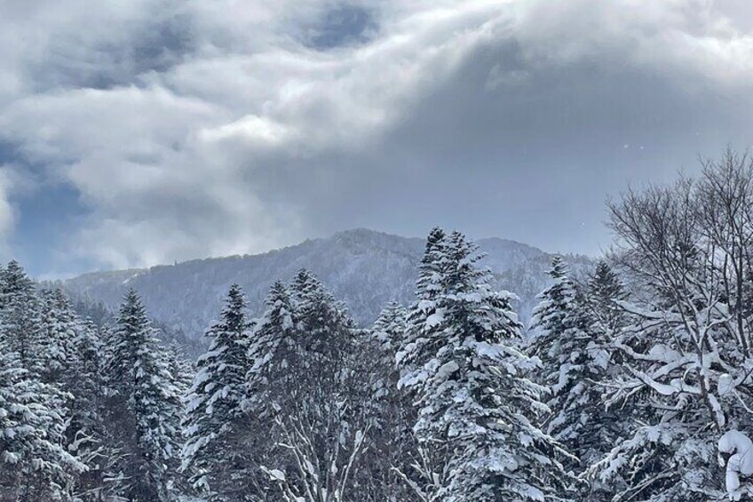 Snowshoeing Adventures in a Winter Wonderland - Sapporo