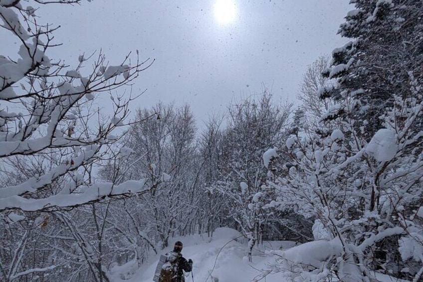 Snowshoeing and Onsen Adventures in a Winter Wonderland -Sapporo.