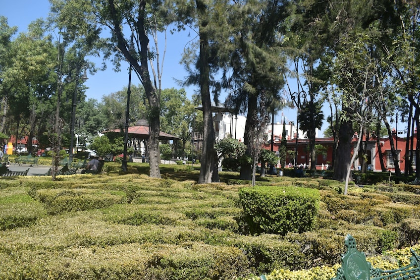 Private Tour to Xochimilco Canals, Coyoacan & Frida Kahlo Museum
