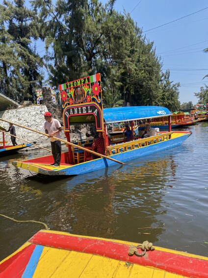 Private Tour to Xochimilco Canals, Coyoacan & Frida Kahlo Museum