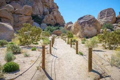 Palm Springs et Joshua Tree NP Conduite Audio Tours Bundle