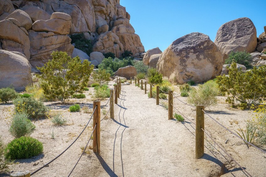 Joshua Tree and Palm Springs Self-Guided Driving Audio Tour