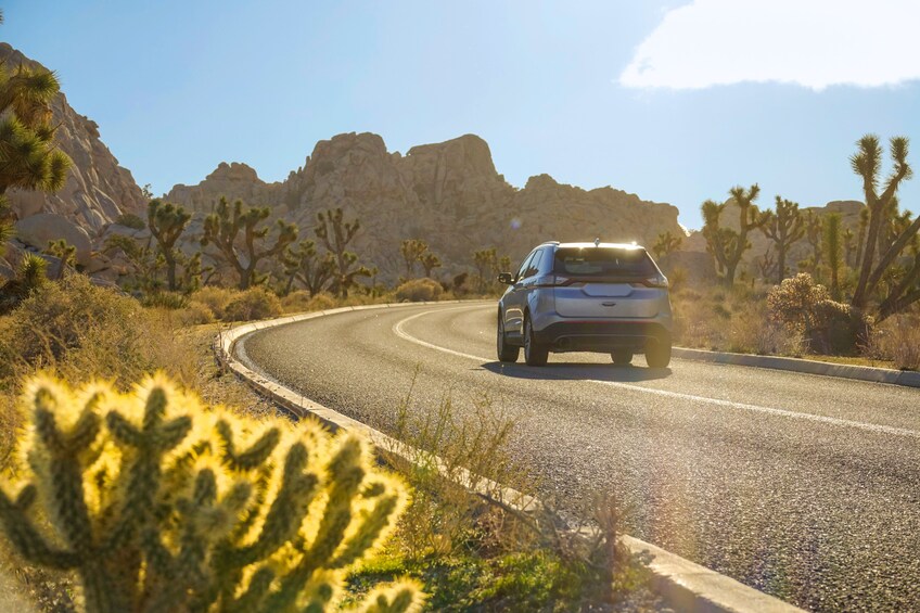 Palm Springs & Joshua Tree NP Driving Tours Bundle