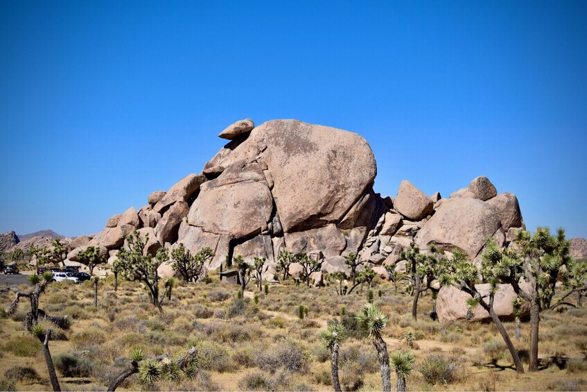 Joshua Tree and Palm Springs Self-Guided Driving Audio Tour