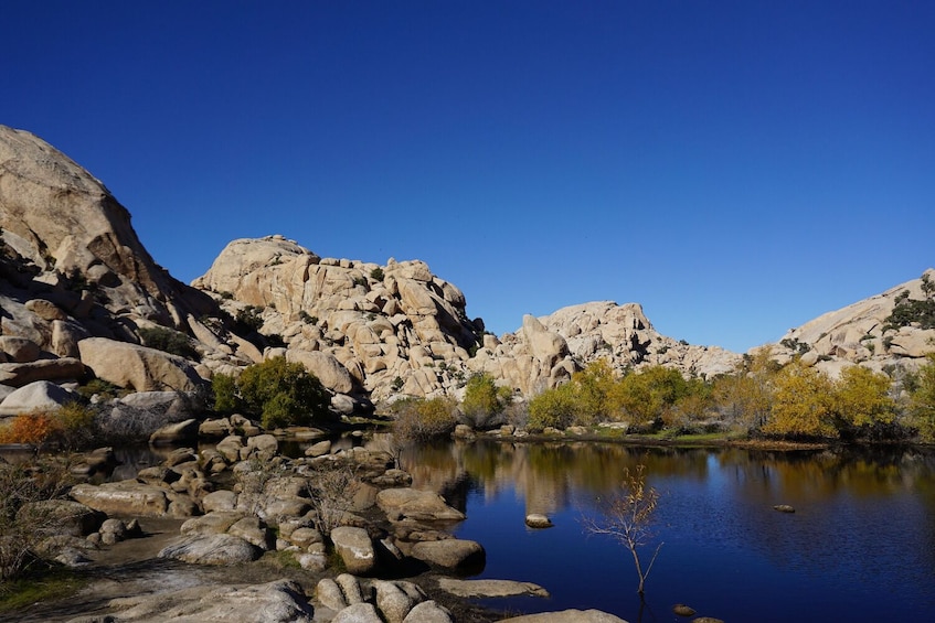 Joshua Tree and Palm Springs Self-Guided Driving Audio Tour