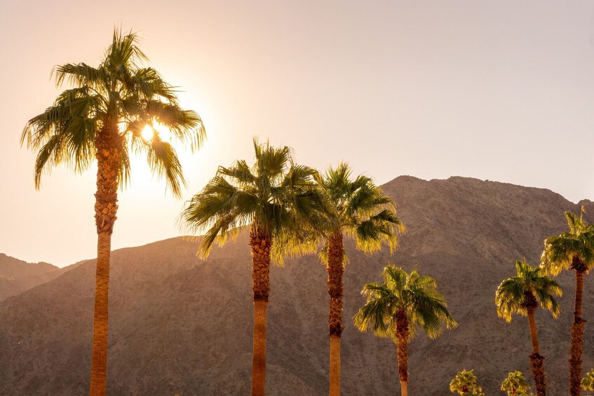 Joshua Tree and Palm Springs Self-Guided Driving Audio Tour