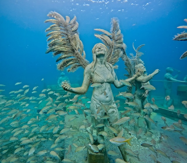 Single tank dive at the Underwater Sculpture Park 