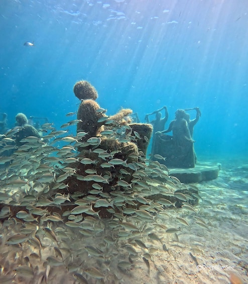 Single tank dive at the Underwater Sculpture Park 