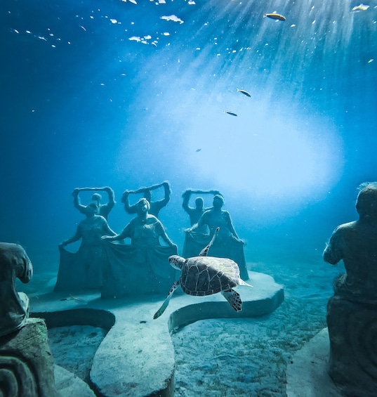 Single tank dive at the Underwater Sculpture Park 