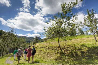 San Sebastián: Tradisjonell omvisning i ciderhus med lunsj