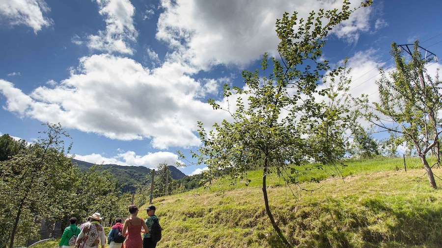 San Sebastián: Traditional Cider House Tour with Lunch