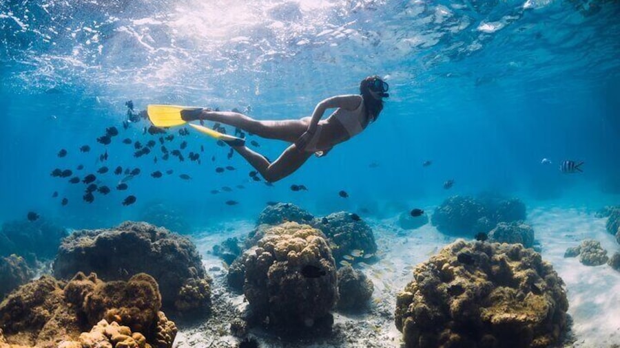 Scuba Diving Private Tour in Martinique