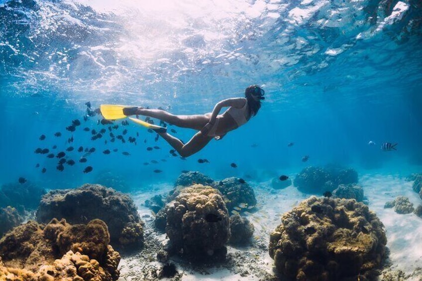 Scuba Diving Private Tour in Martinique