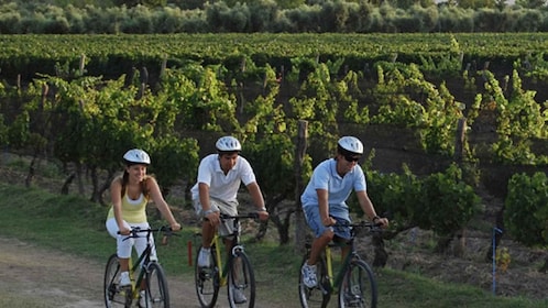 Niagara-on-the-Lake : Vélo excursion avec dégustation de vin