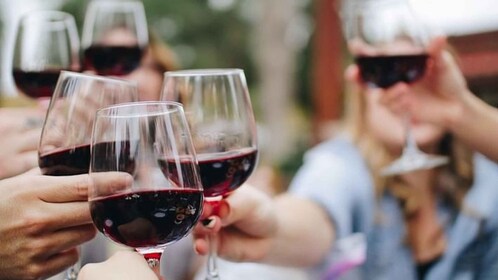 Niagara-on-the-Lake : Visite à vélo avec dégustation de vin