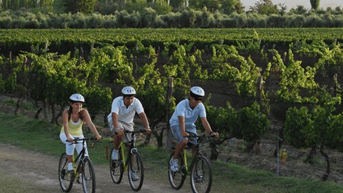 Niagara-on-the-Lake : Vélo excursion avec dégustation de vin