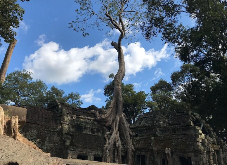 Picture 5 for Activity Private Guide: 1-Day Tour to Angkor Wat