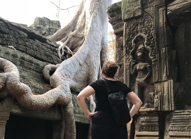 Picture 2 for Activity Private Guide: 1-Day Tour to Angkor Wat