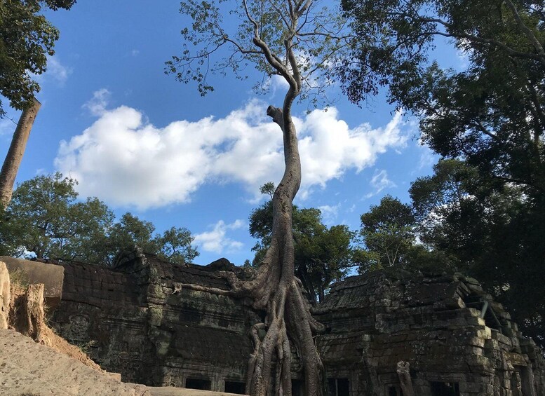 Picture 3 for Activity Private Guide: 1-Day Tour to Angkor Wat