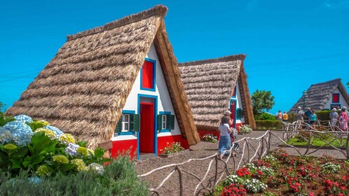 Madeira: ARIEIRO PEAK, SANTANA, PONTA SÃO LOURENÇO JEEP TOUR