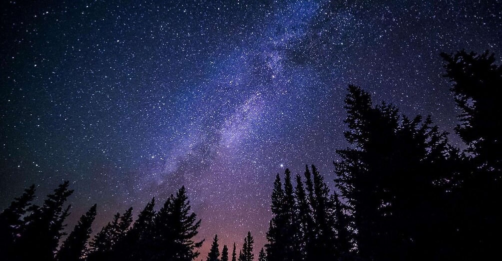 Stroll under the stars : Stargazing and Astronomy Tour