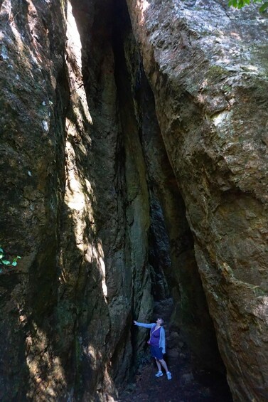 Picture 3 for Activity Gold Coast: Glow Worms Nocturnal Rainforest & Waterfall Walk