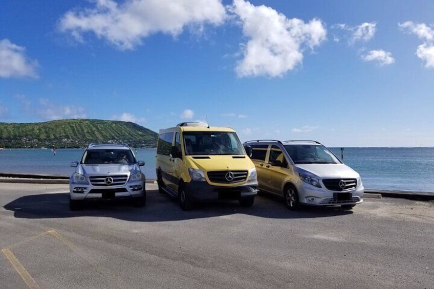 Rum Production Private Tour in Martinique