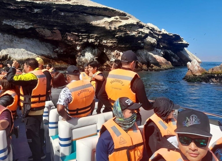 Picture 3 for Activity Excursion the Ballestas Islands