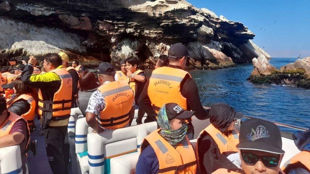Picture 3 for Activity Excursion the Ballestas Islands