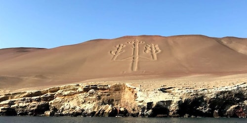 Excursión a las Islas Ballestas