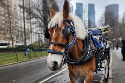 Excursiones por el Central Park en carruajes de caballos de Nueva York