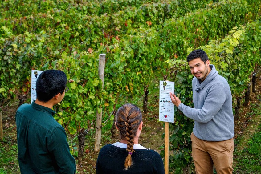 Picture 9 for Activity Saint-Émilion: Grand Cru Classé Winery Visit and Tasting