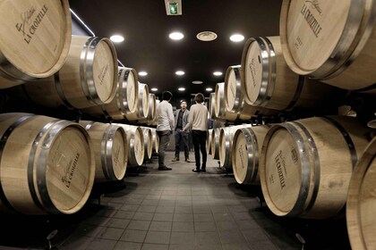 Saint-Émilion : Visite d'un grand cru classé et dégustation