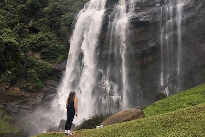 Nuwara Eliya Half Day Private Hiking and Sightseeing Tour