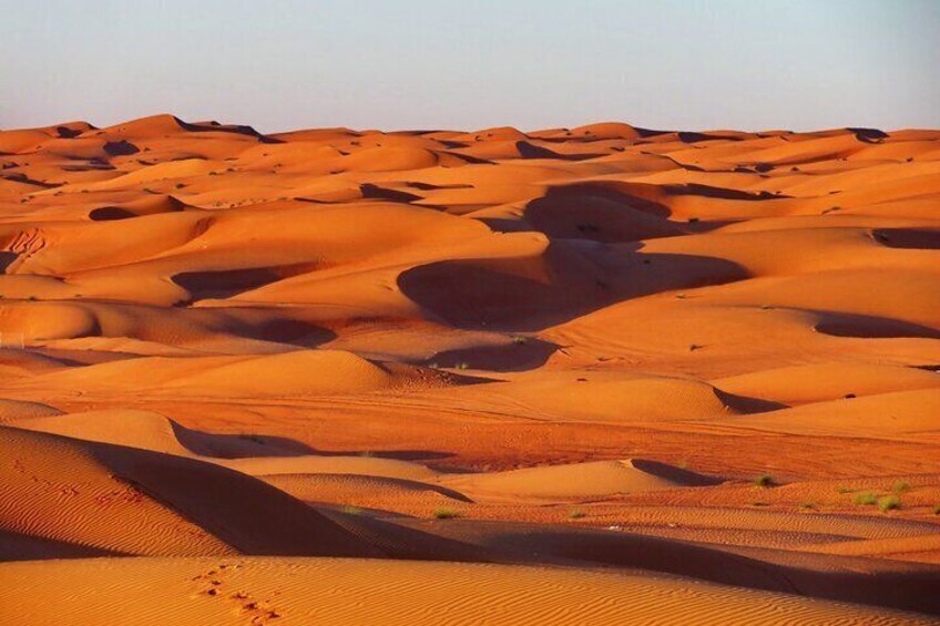 2 Day Private Trip to Two Oasis with Overnight Desert Camping 