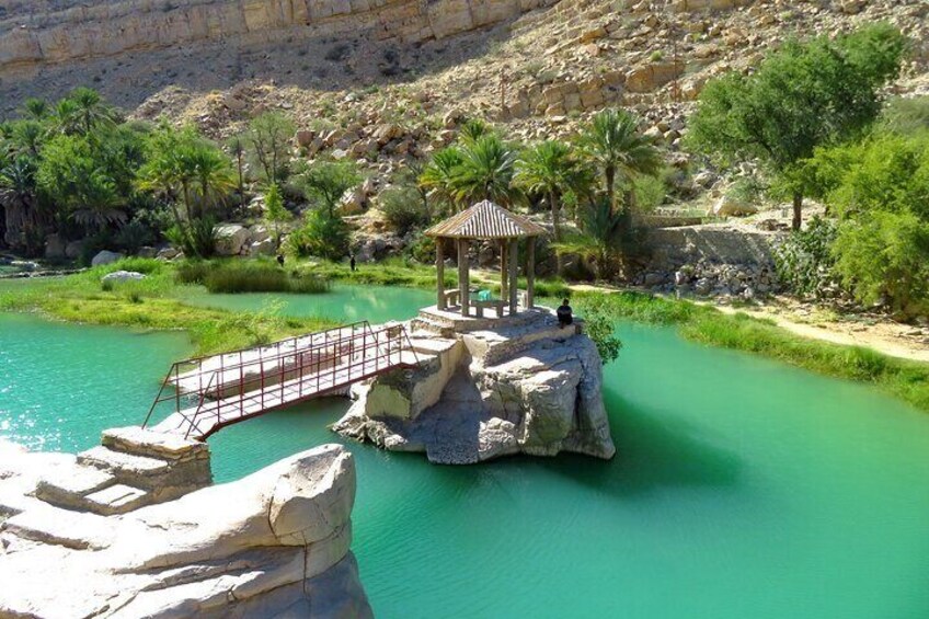 2 Day Private Trip to Two Oasis with Overnight Desert Camping 