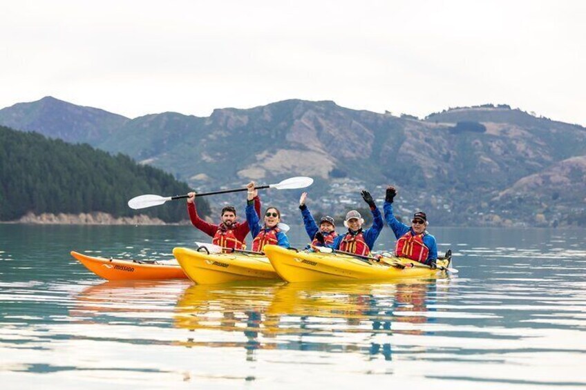 Lyttelton Shore Excursion - Sea Kayaking, Quail Island & Harbour