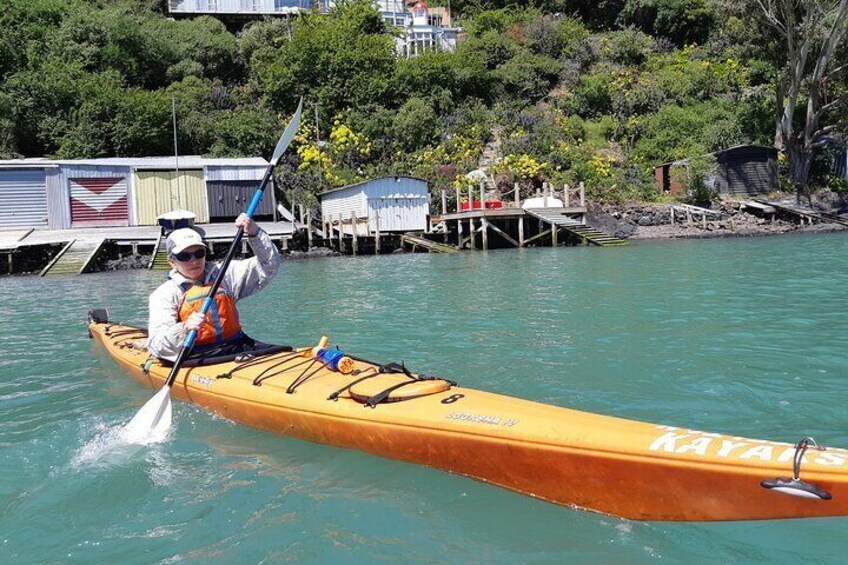 Lyttelton Shore Excursion and Sea Kayaking Tour 