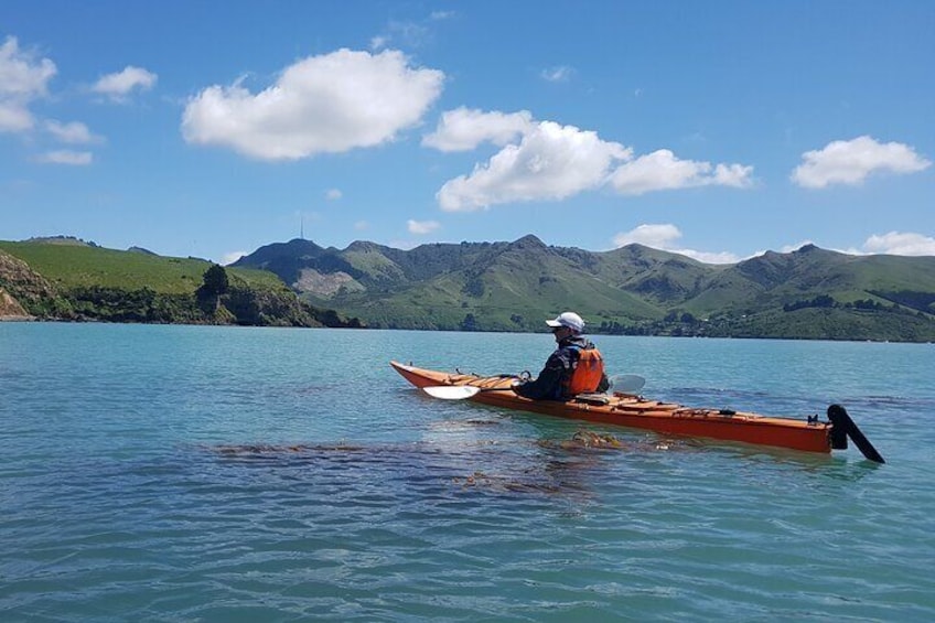 Lyttelton Shore Excursion and Sea Kayaking Tour 