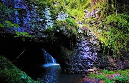 Côte d'Or : Kangourous, forêt tropicale et chutes d'eau