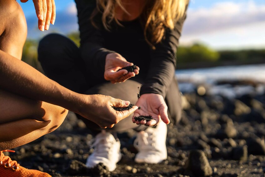 Big Island Highlights: Coffee, Black Sand Beach, Volcano, And Waterfall