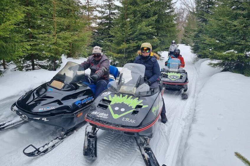 Snowmobile Tours Next to Sofia in Petrohan Pass